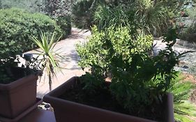 A Casa Dei Fenici